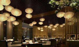 Why Green China Restaurant is Praised for Its Elegant Ambiance and Decor